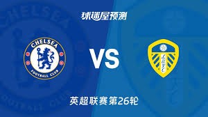 武什科维奇在英超的控球问题分析